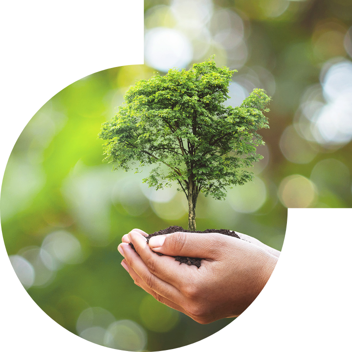 关怀人类、文化、环境与社会